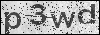 Captcha text